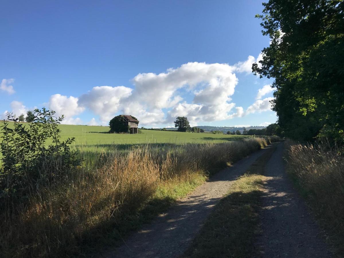 Condé-sur-Noireau La Paix, Gite Bucolique En Normandie מראה חיצוני תמונה