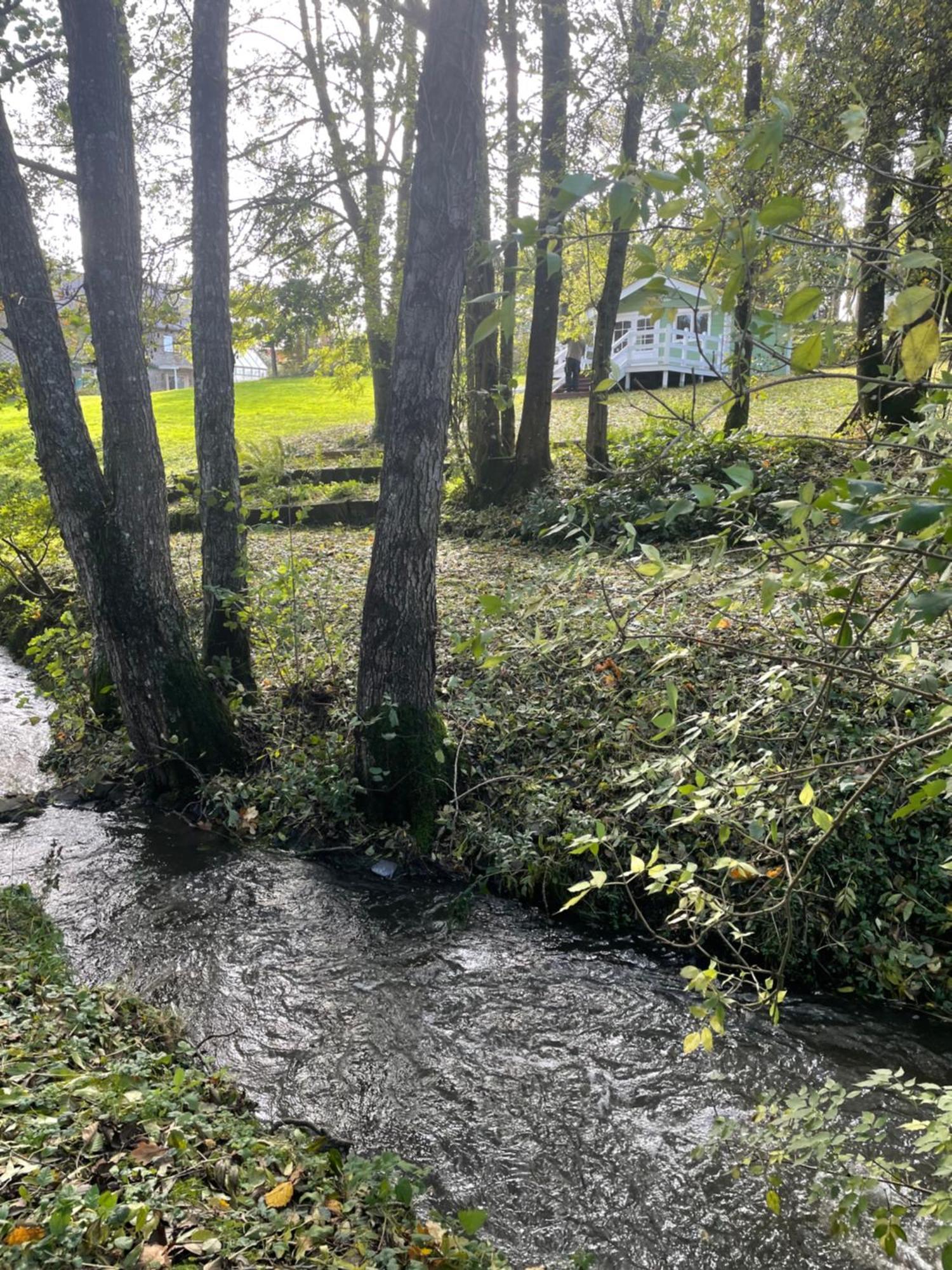 Condé-sur-Noireau La Paix, Gite Bucolique En Normandie מראה חיצוני תמונה