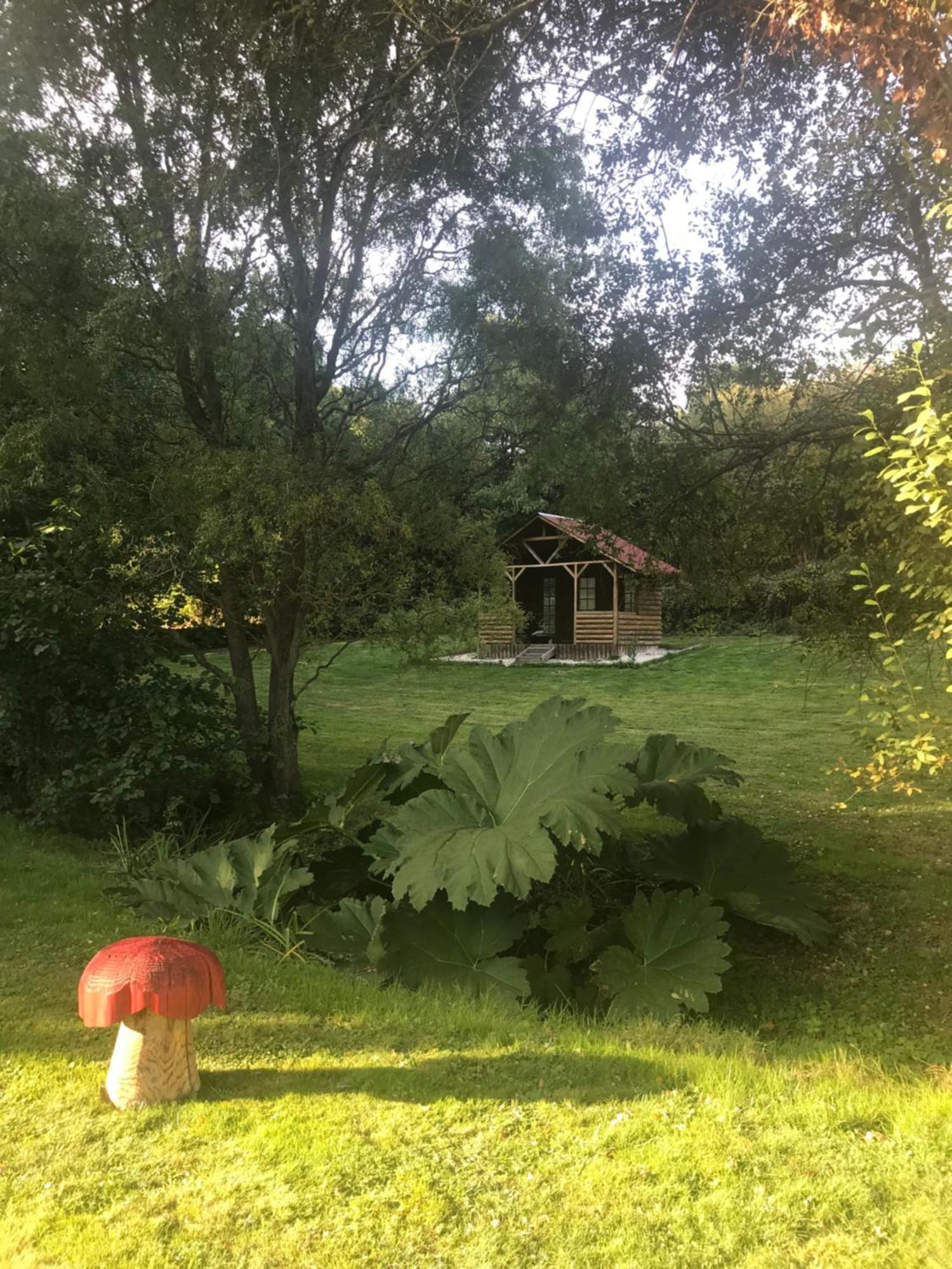 Condé-sur-Noireau La Paix, Gite Bucolique En Normandie מראה חיצוני תמונה